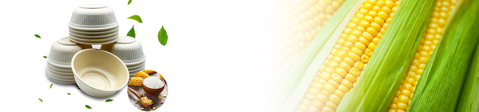 ظروف-گیاهی