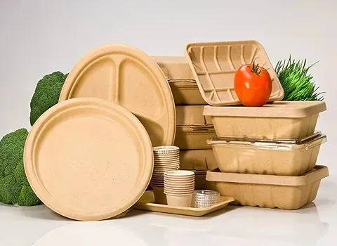 معایب ظروف گیاهی