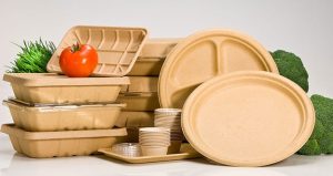 ظروف گیاهی چیست و چرا به آن‌ها نیاز داریم؟