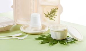 چگونه از ظروف گیاهی در بسته‌بندی غذا استفاده کنیم؟
