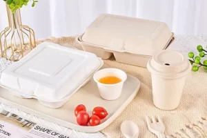 خرید ظروف گیاهی