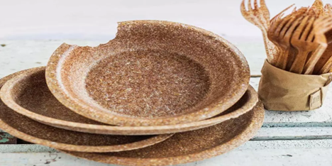 مواد اولیه ظروف گیاهی و نقش آن‌ها در حفاظت از طبیعت