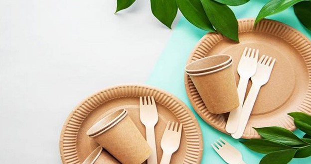 تفاوت ظروف گیاهی و پلاستیکی