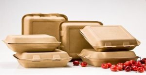 آیا ظروف گیاهی واقعاً دوستدار طبیعت هستند؟