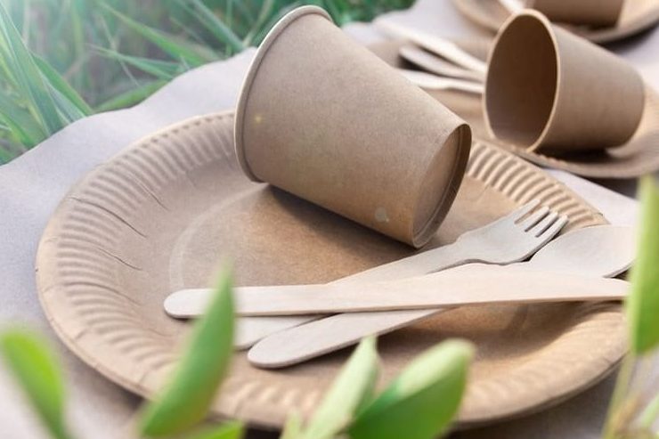 مواد اولیه ظروف گیاهی و نقش آن‌ها در حفاظت از طبیعت
