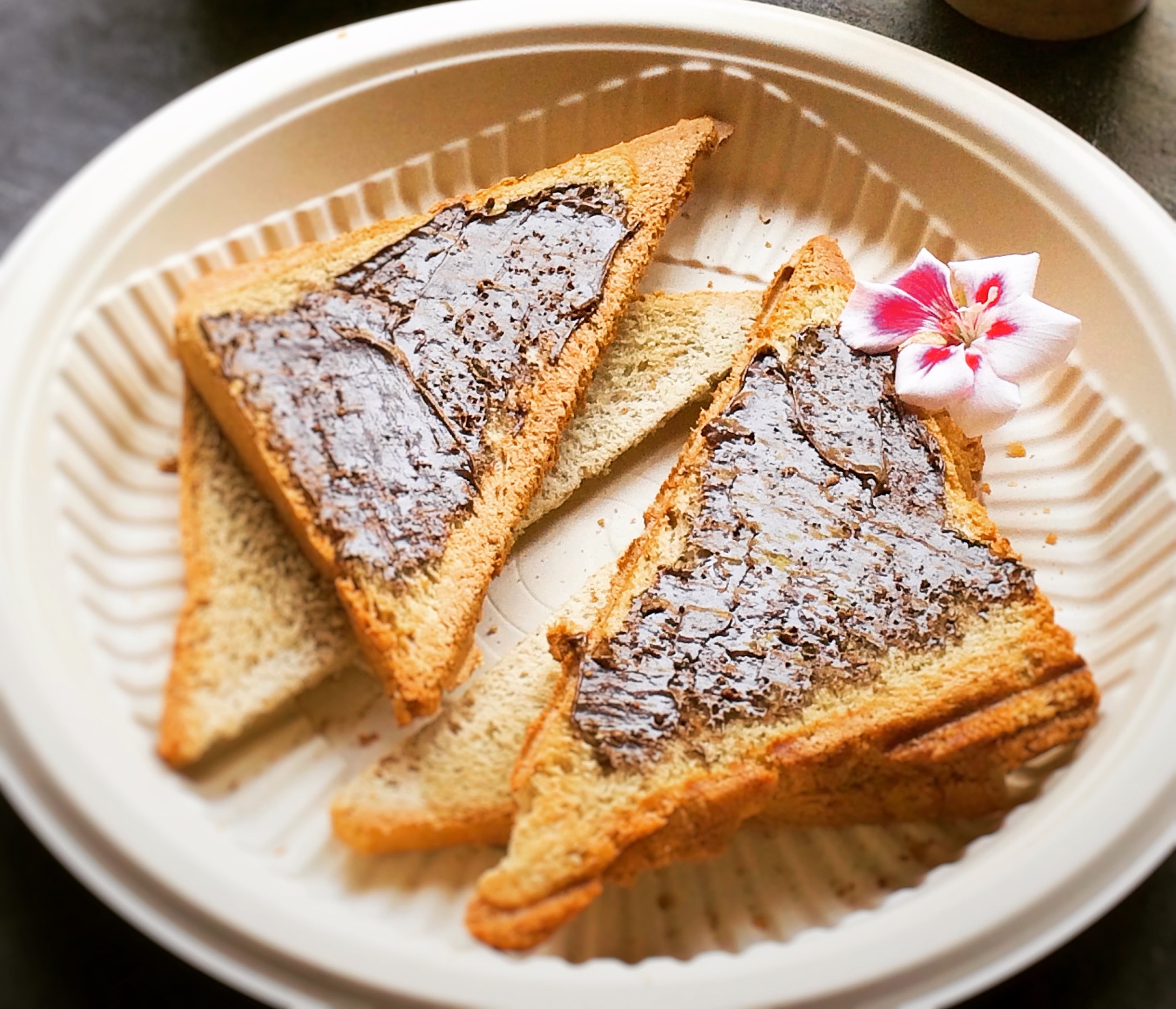 بشقاب گیاهی بزرگ