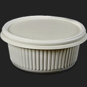 ظرف خورشتی گیاهی 280