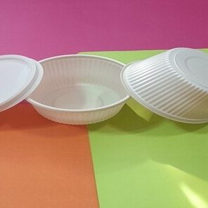 ظرف خورشتی گیاهی 300