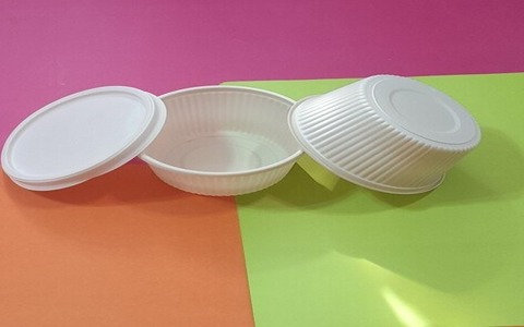 ظرف خورشتی گیاهی 300